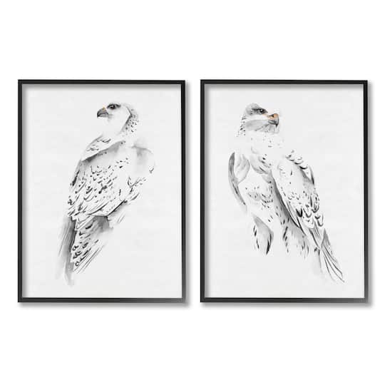 Stupell Industries White Hawk Winter Birds Soft Speckled Feathers Framed Wall Art
